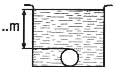 indice IP 8